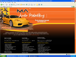 Professional Website Design / Hosting!